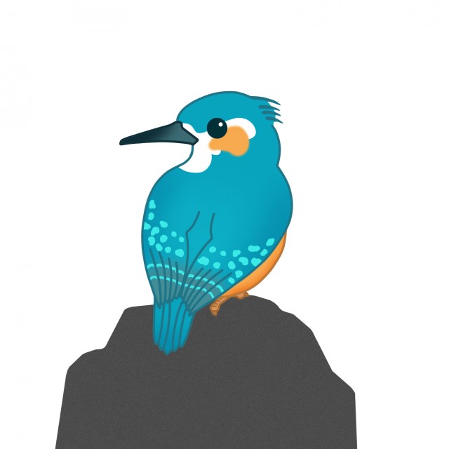野鳥のイラスト カワセミ 無料イラスト素材 素材ラボ