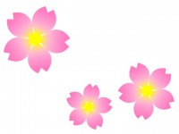 桜の花のイラスト…