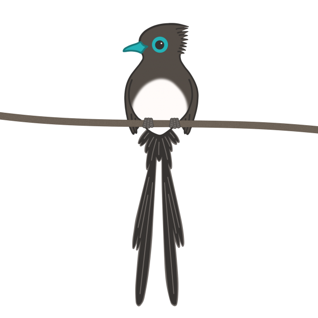 野鳥のイラスト サンコウチョウ 無料イラスト素材 素材ラボ