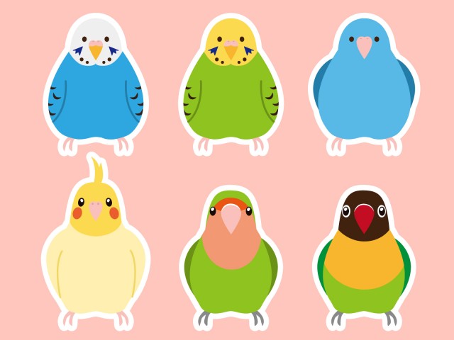 インコのイラストセット 白フチ 無料イラスト素材 素材ラボ