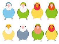 インコ かわいい無料イラスト 使える無料雛形テンプレート最新順 素材ラボ