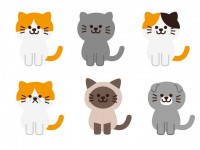 エキゾチックショートヘア かわいい無料イラスト 使える無料雛形テンプレート最新順 素材ラボ エキゾチックショートヘア かわいい無料イラスト 使える無料雛形テンプレート最新順 素材ラボ