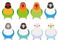 インコ かわいい無料イラスト 使える無料雛形テンプレート最新順 素材ラボ