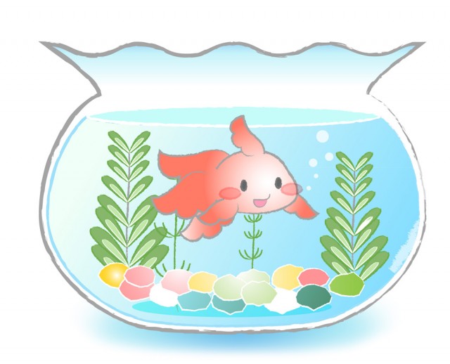 金魚 無料イラスト素材 素材ラボ