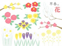 早春の花