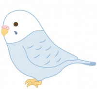 インコ かわいい無料イラスト 使える無料雛形テンプレート最新順 素材ラボ