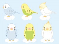 インコ かわいい無料イラスト 使える無料雛形テンプレート最新順 素材ラボ