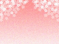 桜の花の壁紙、花…