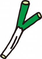 ねぎ かわいい無料イラスト 使える無料雛形テンプレート最新順 素材ラボ