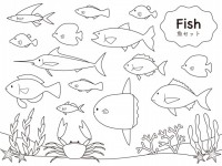 熱帯魚 かわいい無料イラスト 使える無料雛形テンプレート最新順 素材ラボ