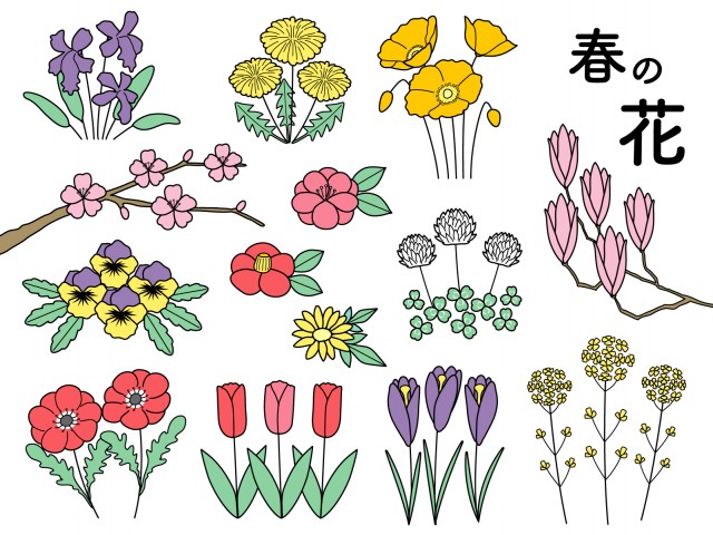 上手書き 花のイラスト 最高の花の画像