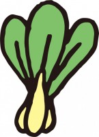 ほうれん草 かわいい無料イラスト 使える無料雛形テンプレート最新順 素材ラボ