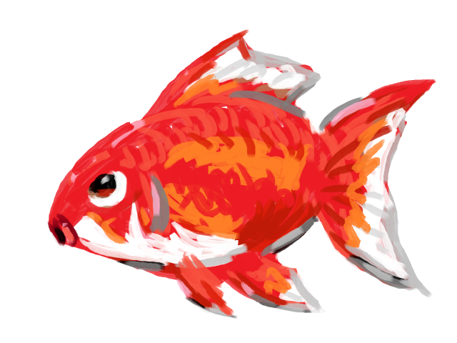 金魚 無料イラスト素材 素材ラボ