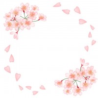 桜のフレームイラ…