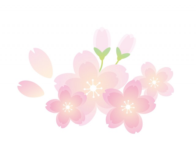 綺麗な桜1 無料イラスト素材 素材ラボ
