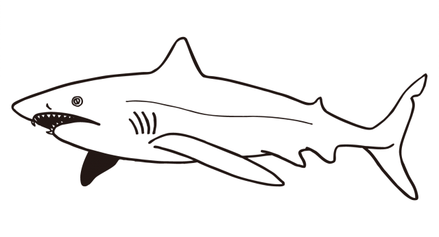 サメのイラスト 無料イラスト素材 素材ラボ