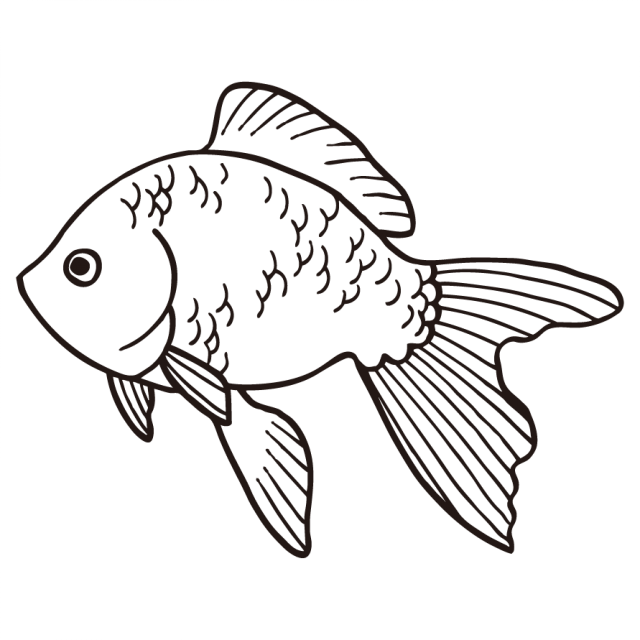 金魚のイラスト 無料イラスト素材 素材ラボ