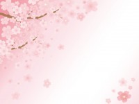 桜背景03