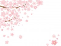桜背景04