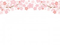 桜背景09