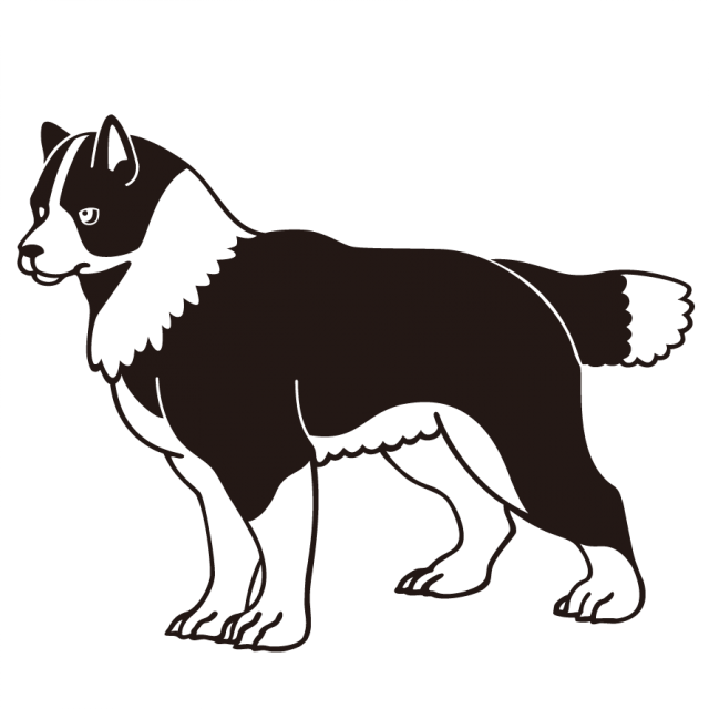犬のイラスト ハスキー 無料イラスト素材 素材ラボ