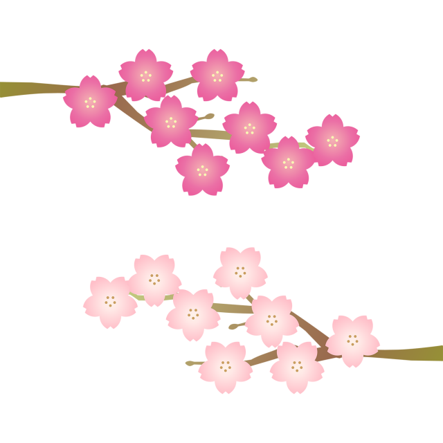 桜の木の枝イラスト【透過PNG/ベクター】