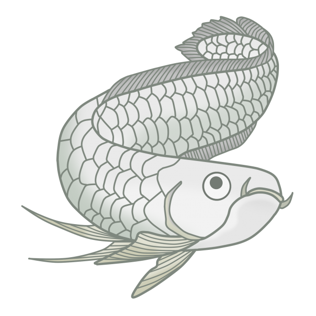 観賞魚のイラスト アロワナ 無料イラスト素材 素材ラボ