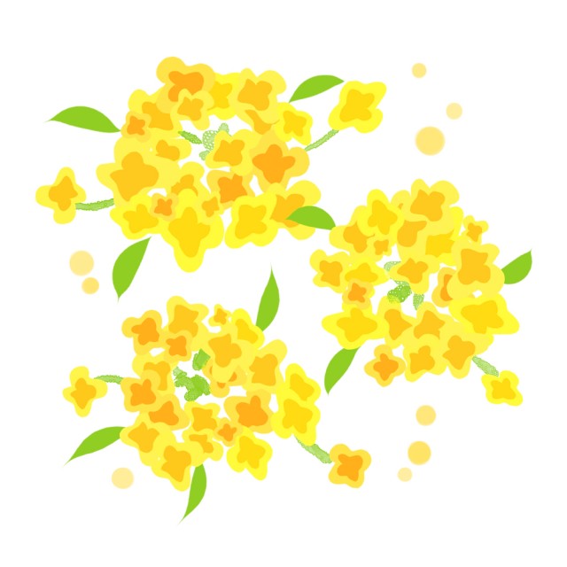 菜の花と紋白蝶 イラストが無料の Ddばんく