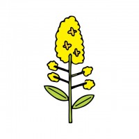 菜の花 かわいい無料イラスト 使える無料雛形テンプレート最新順 素材ラボ 菜の花 かわいい無料イラスト 使える無料雛形テンプレート最新順 素材ラボ
