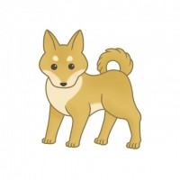 犬のイラスト（柴…