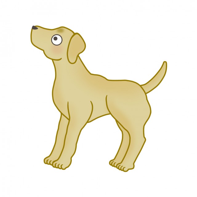 犬のイラスト ラブラドール レトリバー 無料イラスト素材 素材ラボ