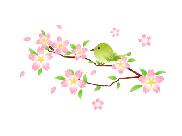 桜の枝にメジロ | 無料イラスト素材｜素材ラボ