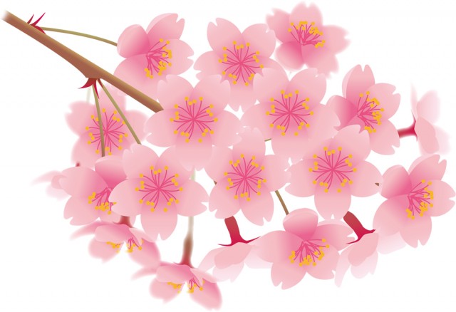 桜の花 桜の枝 無料イラスト素材 素材ラボ