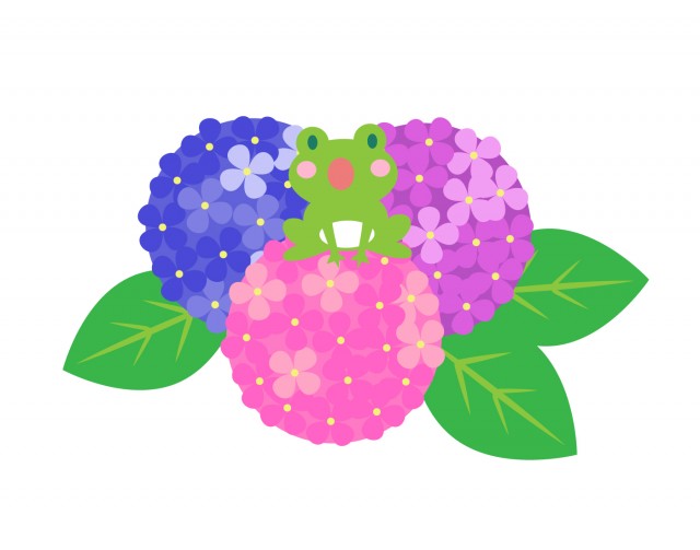紫陽花とカエル 無料イラスト素材 素材ラボ
