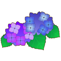 紫陽花のワンポイ…