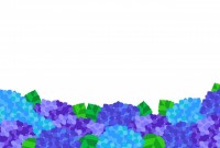 紫陽花のイラスト…