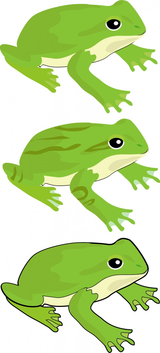 リアルタッチの蛙 無料イラスト素材 素材ラボ