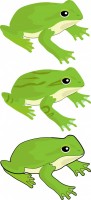リアルタッチの蛙