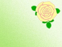 薔薇の花の壁紙シ…