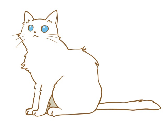 青い目のおすまし白猫 無料イラスト素材 素材ラボ