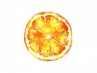 オレンジの断面素…