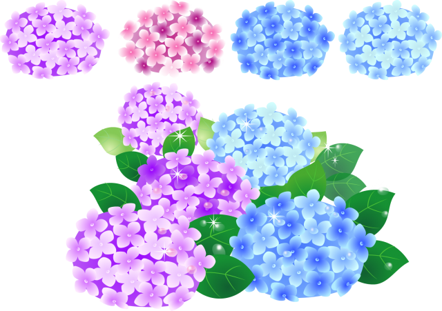 あざやかな紫陽花 無料イラスト素材 素材ラボ