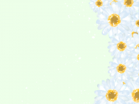 白い花のフレーム…