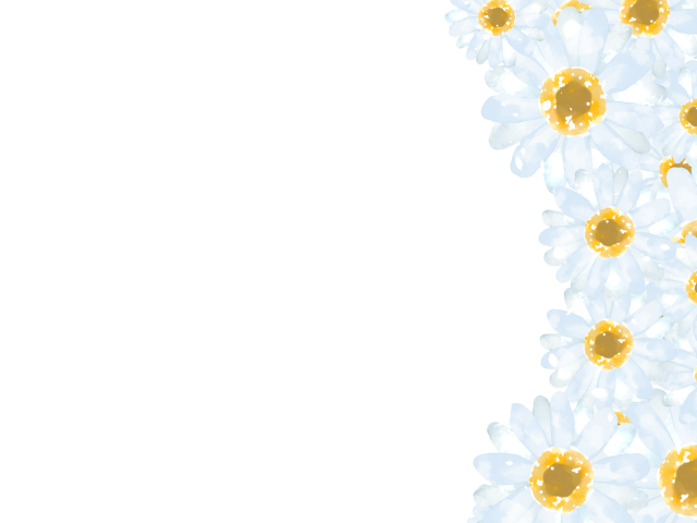 白い花のフレーム 無料イラスト素材 素材ラボ