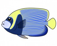 海水熱帯魚１　タ…
