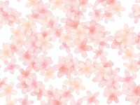 水彩の花の背景素…