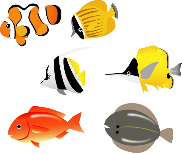 無料イラスト素材：熱帯魚のイラスト