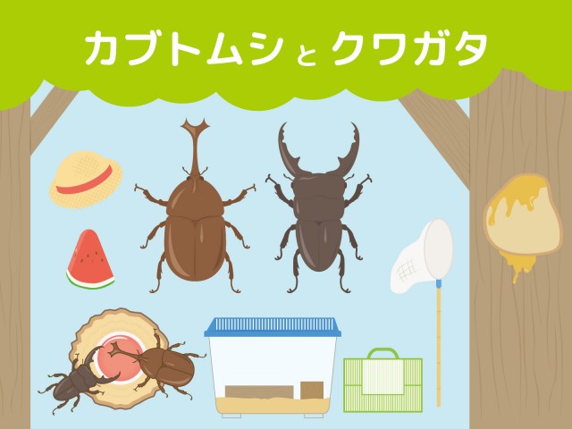 虫取りセット カブトムシ クワガタ 麦わら帽子 スイカ 虫かご 虫取り網 樹液 無料イラスト素材 素材ラボ