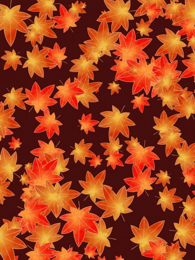和風の紅葉の背景素材07 赤 無料イラスト素材 素材ラボ