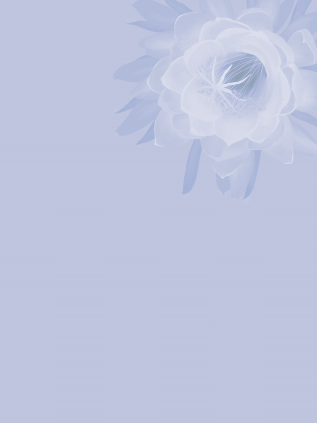 月下美人のフレーム01 紫 無料イラスト素材 素材ラボ